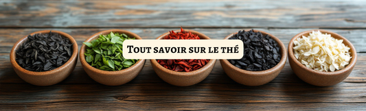 Tout savoir sur le thé : Histoire, Variétés, Bienfaits et Culture