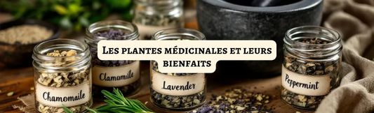 Les plantes médicinales et leurs bienfaits